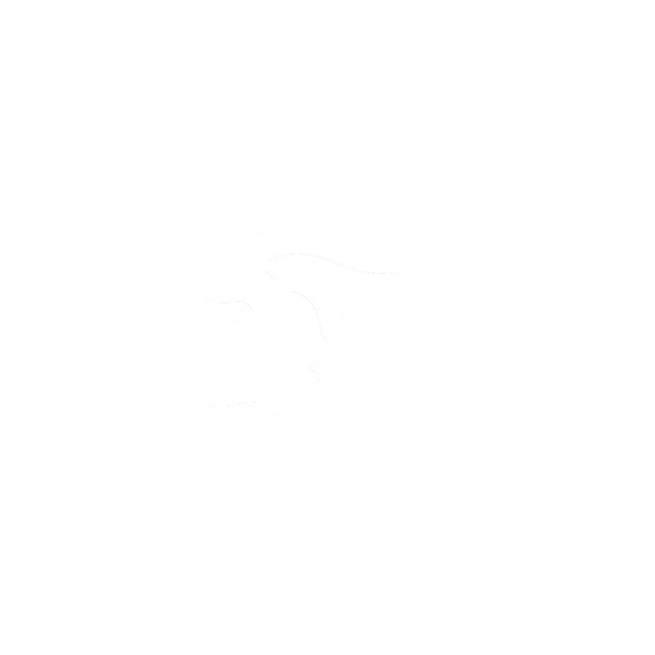 RabbIT Solutions
